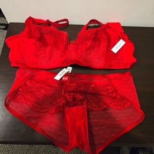 Adore Me Bra and Pantie Set 38DD and M